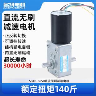 无刷直流减速电机12v24v蜗轮蜗杆5840 3650调速微小型大扭力马达