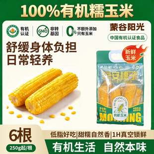蒙谷阳光有机新鲜糯玉米粘甜黄糯玉米棒糯米真空包装非转基因早餐
