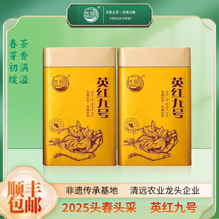 2025明前头春金英红九号新茶老树红茶耐泡茶香红茶高级茶叶罐送礼