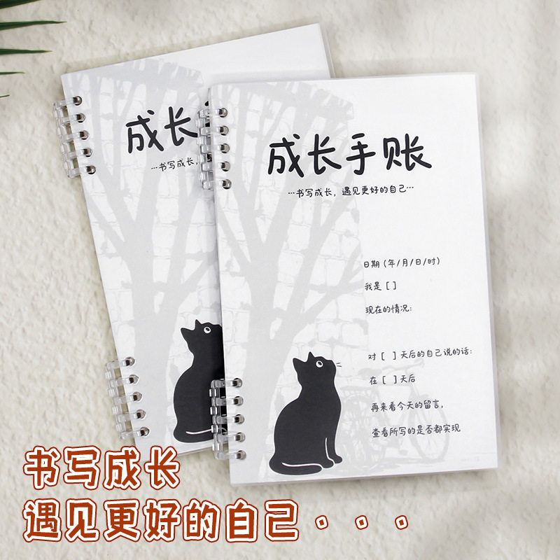本书写成长遇见更好的自己精致笔