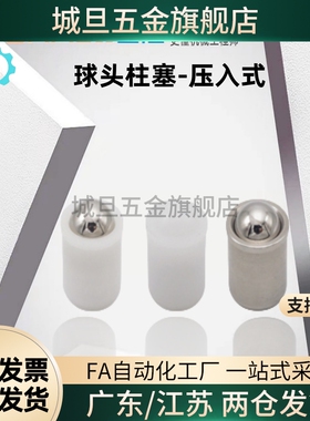 固定球头柱塞-无螺纹压入式BSDS/BSDA/BSDB-D3 4 5 6 8 10