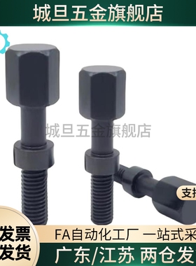 AJSTC/AJSTCF 粗牙细牙调整螺栓 六角头尺寸简易型 PAY21/PAY31