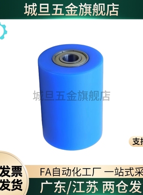 滚轮QAC71 73 75 77-D20 D30-d6 d8 d10 d12-L15 L20 L25 L30 L40