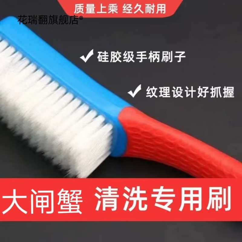 清洗大闸蟹专用硬毛刷厨房小龙虾生蚝贝类清洁刷子水产海鲜鲍鱼刷