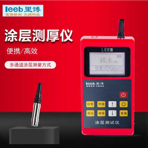 涂层测厚仪 里博TT210g手持式(分体)漆膜测厚仪 磁性探头