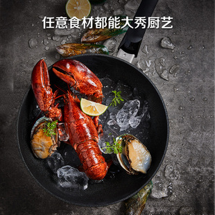 精选德国菲仕乐进口小金刚不粘锅平底锅家用煎锅烙饼煎蛋牛排锅电