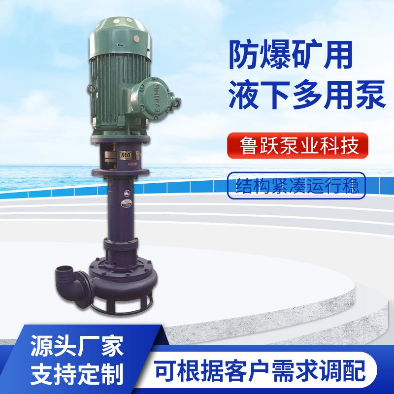 防爆矿用液下多用泵液下泵排污泵矿用泥浆大流量单双管长轴泵