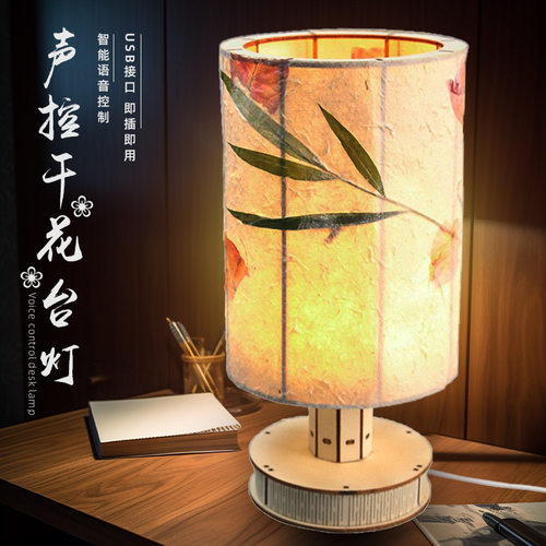 DIY干花声控台Steam手工干花小夜灯压花植物声控床头灯材料包