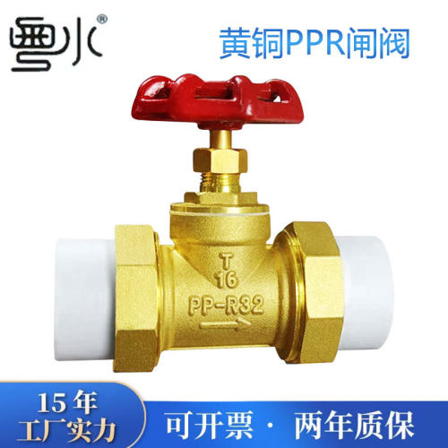 黄铜闸阀20管25管32管63管自来水管表前双活接热熔连接开关水阀门