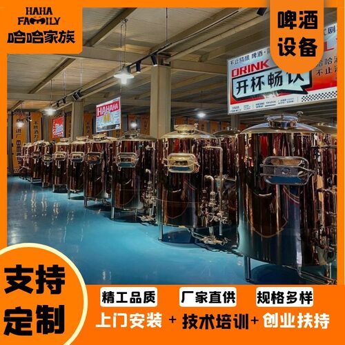 精酿家用酿造设备 散装啤酒生产设备 啤酒精酿酿造机器 送配方