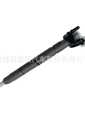 0445116017共轨喷油器33800-2F000 BC3Z9H529A