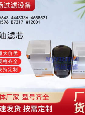 供应4696643 4448336 4658521 P550596 B7217 W12001机油滤芯