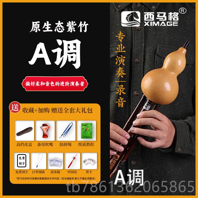 正品西马格葫芦丝装专业演奏天然竹大降E大降紫B套低音成胡芦人丝