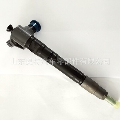 共轨喷油器 33800-4A900喷油器/ 295700-0140喷油器