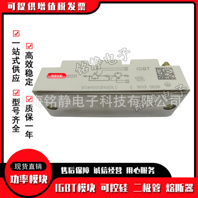 BSM75GB60DLC BSM100GB60DLC BSM150GB60DLC BSM200GB60DLC