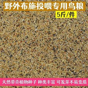 小型鸟粮野外鸟食布施麻雀斑鸠鸟粮天然鸟粮野外投喂专用带壳粮