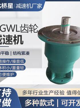 NGWL立式行星齿轮减速机齿轮减速机蜗轮减速机，微型减速机