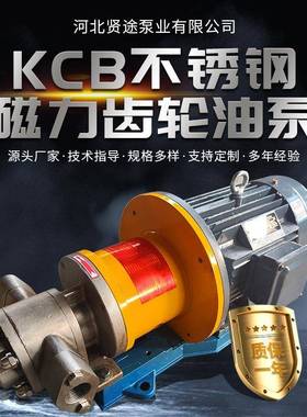 厂家供应齿轮抽油泵304工业用输送泵KCB83.3电动不锈钢磁力齿轮泵