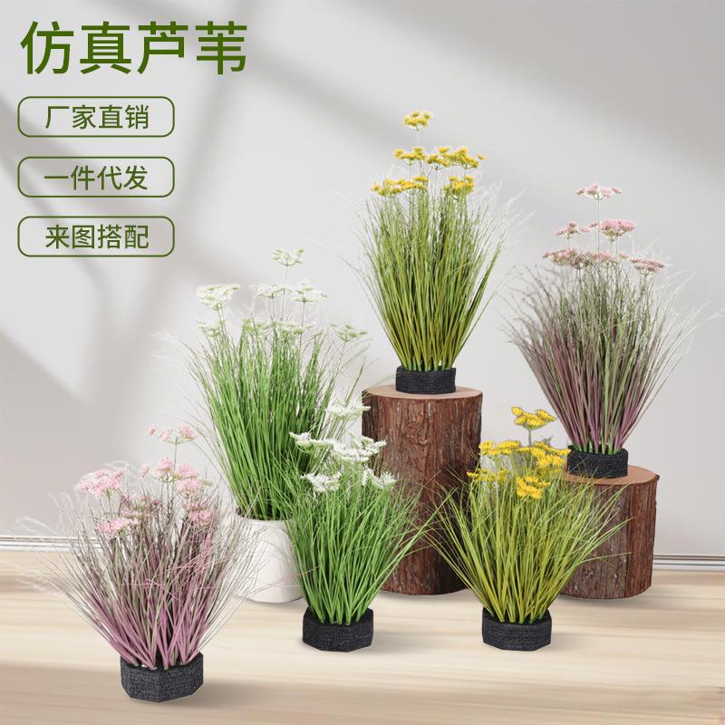 仿真芦苇狗尾巴草蕾丝花假草丛室内客厅落地装饰摆件仿生植物造景