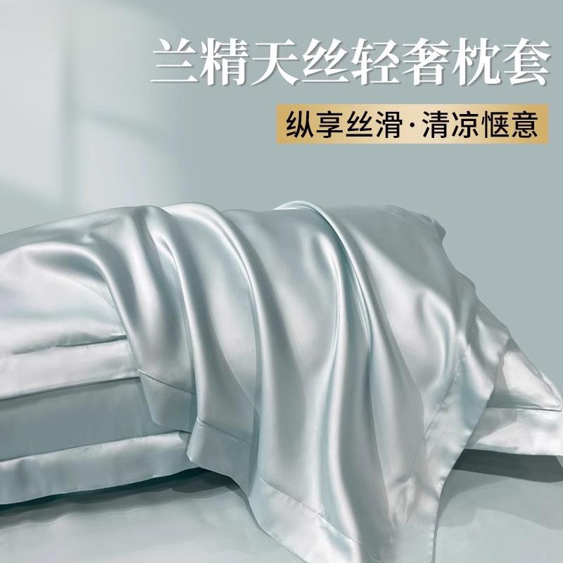 天丝夏季枕套双面真丝一对装高支冰丝凉整套48x74cm轻奢