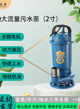 WQ系列24v潜水泵家用排灌地下室48/60v水泵废水粪池养殖场污水泵