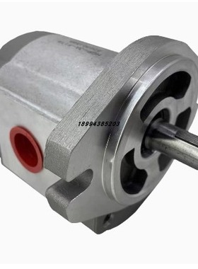 DEKEMA齿轮泵P107 液压油泵GPY-2-R-4B HGP-3A-F14-RX2B液压泵