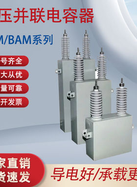 BAM  BFM11√3-334-1W  100-1W 200-1W300-1W 高压并联电容器 厂