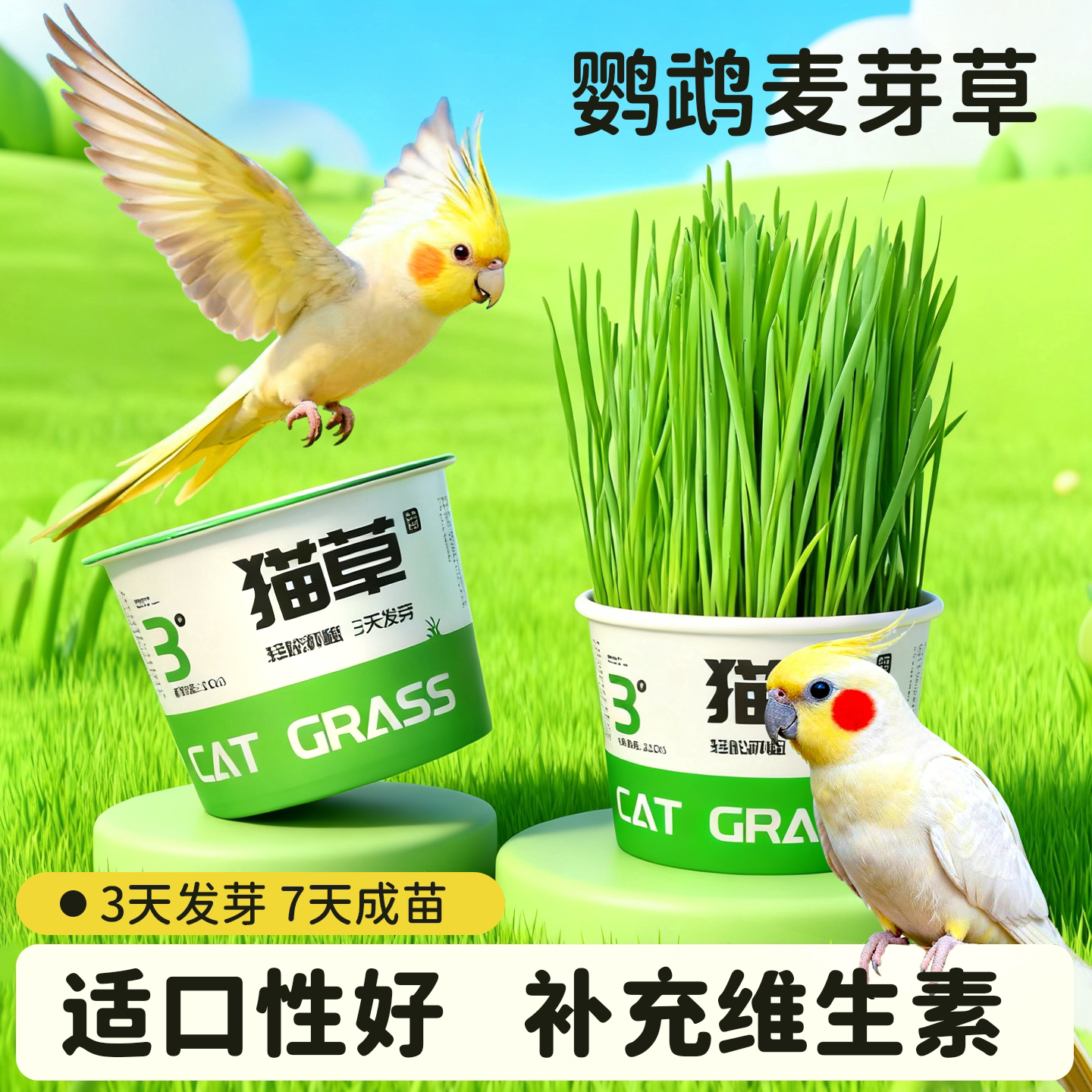 鹦鹉专用麦芽草大麦种子鸟粮