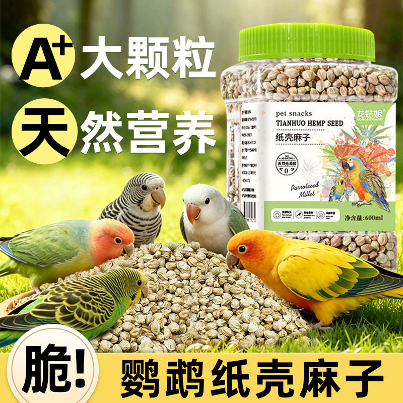 大颗粒纸壳麻子鸟粮互动奖励粮食图片