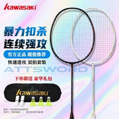 Z650全碳素进攻型羽毛球拍