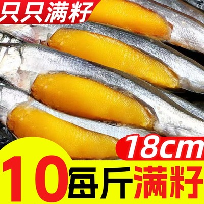 多春鱼满籽新鲜商用单冻
