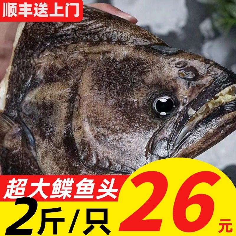 鸦片鱼头碟鱼头特大比目鲽鱼头雅片鱼头深海鱼海鲜水产蝶鱼头商用
