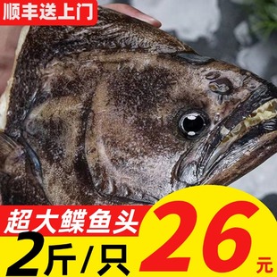 鸦片鱼头碟鱼头特大比目鲽鱼头雅片鱼头深海鱼海鲜水产蝶鱼头商用