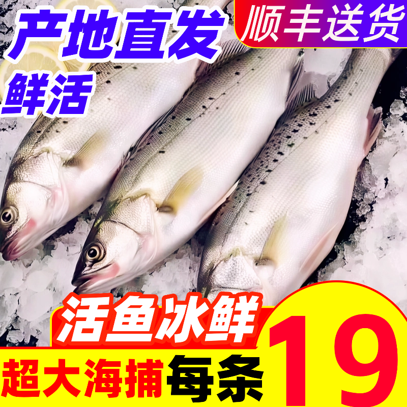 海鲈鱼新鲜超大特大花鲈鱼鲜活冷冻卢鱼深海鱼海鲜水产七星鲈鱼,水产肉类/新鲜蔬果/熟食,鲈鱼,淘宝优惠券,粉丝福利购,淘宝优惠卷