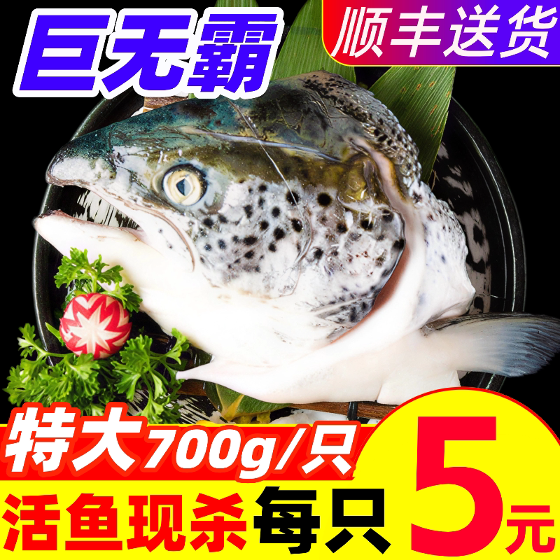 三文鱼头新鲜鲜活现切冷冻整条新疆三文鱼非进口挪威鱼虹鳟鱼海鲜