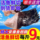 安康鱼翅膀新鲜鮟鱇鱼翅深海鱼鳍冷冻鱼鳍鱼肚鱼尾鱼杂海鲜水产