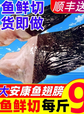 安康鱼翅膀新鲜鮟鱇鱼翅深海鱼鳍冷冻鱼鳍鱼肚鱼尾鱼杂海鲜水产