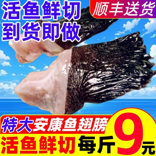 安康鱼翅膀新鲜鮟鱇鱼翅深海鱼鳍冷冻鱼鳍鱼肚鱼尾鱼杂海鲜水产