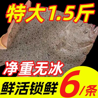 多宝鱼特大鲜活速冻比目鱼八宝鱼偏口鱼鸦片鱼海鱼鲽鱼无刺海鲜
