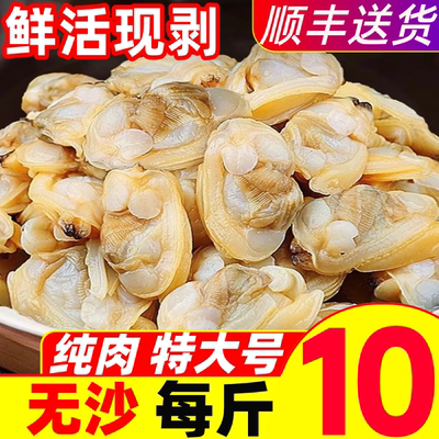 花甲肉鲜活剥肉无沙商用批发