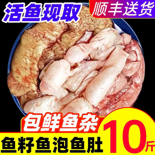 新鲜鱼三宝鱼杂现杀现取鱼籽鱼泡冷冻鱼鳔鱼白活鱼鱼肚鱼蛋鲢鱼子