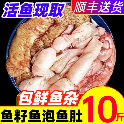新鲜鱼三宝鱼杂现杀现取鱼籽鱼泡冷冻鱼鳔鱼白活鱼鱼肚鱼蛋鲢鱼子