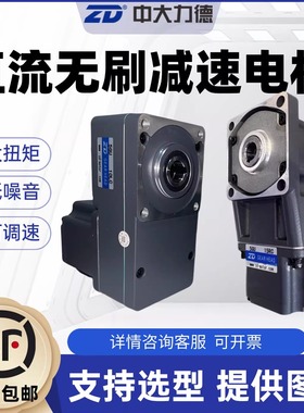 ZD中大力德直流24V微型无刷电机48V220V中大减速马达大扭矩电动机