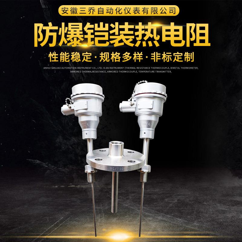 供应防爆铠装热电阻WZP-441PT100IP65CT4带热套式法兰套管