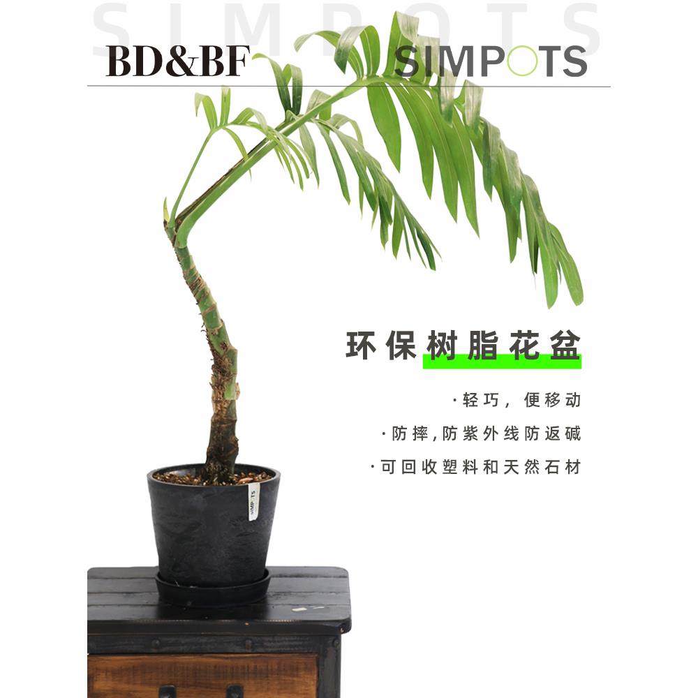 bdbf官方店SIMPOTS树脂黑胶绿植盆栽大口径室内外北欧简约花盆