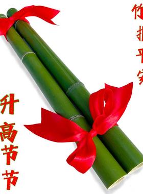 节节高升搬家新鲜竹子乔迁新居礼品平安竹喜事开 业婚庆升考学用
