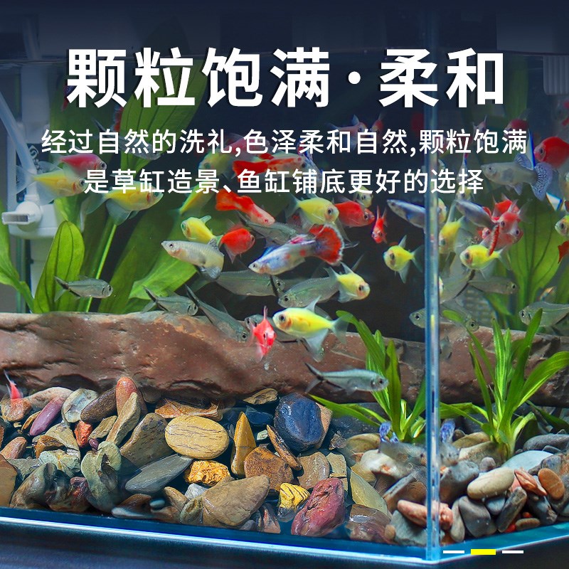 溪流砂鱼缸造景装饰底砂天然溪A流石头雨林沙水草乌龟缸底部细沙