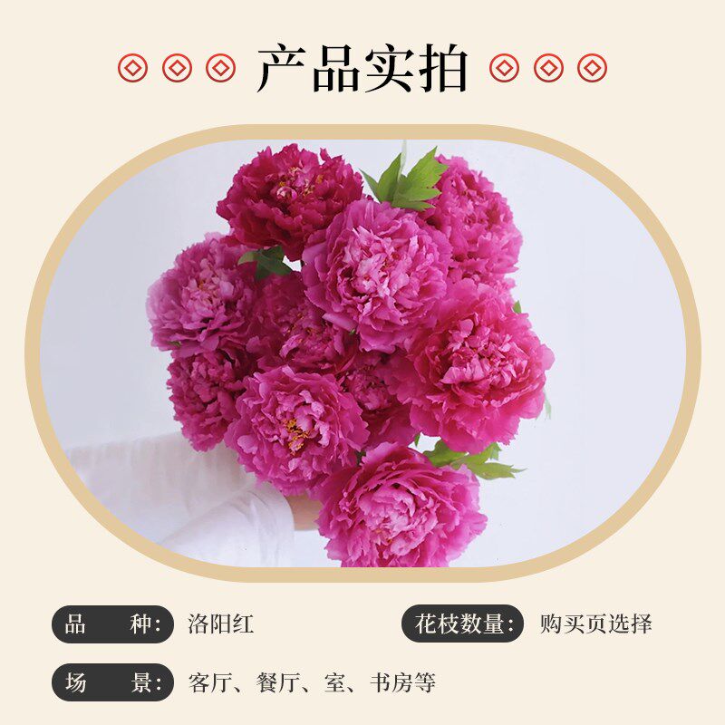 牡丹红色鲜花年宵k花洛阳室内鲜切花速递2025鲜花新年礼物春节赏