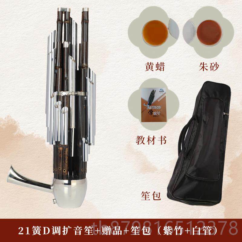 高档宏艺凤鸣扩音专紫21簧笙乐器家圆竹方笙初学者笙包业演奏厂直