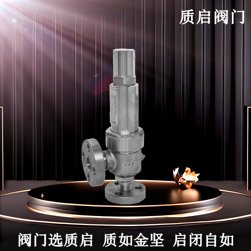 泉州质启A41Y-160P/R不锈钢微启封闭式高压安全阀 永一安全阀DN50